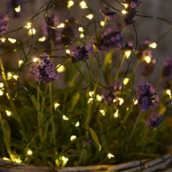 Sirius Knirke Lyskæde M/40 Lys 3,9 M Grøn 9 Sirius Knirke Lyskæde M/40 Lys 3,9 M Grøn -EL OG BELYSNING Butik unnamed file 2220