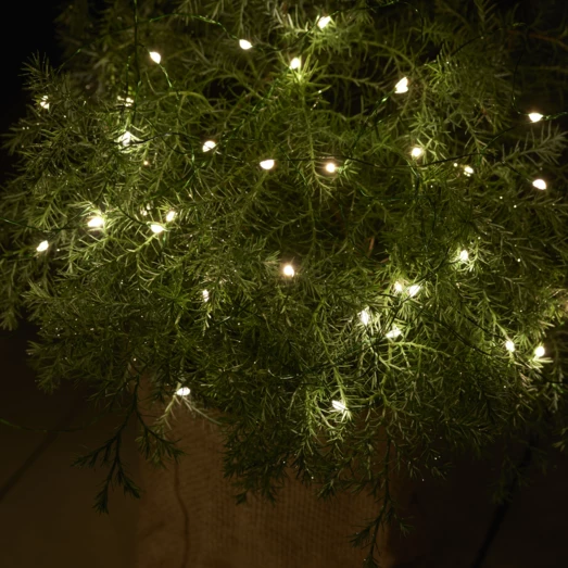 Sirius Knirke Lyskæde M/40 Lys 3,9 M Grøn 6 Sirius Knirke Lyskæde M/40 Lys 3,9 M Grøn - Billede 4