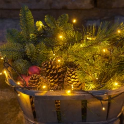 Sirius Top-Line Start Sæt M. Sensor 50 LED-lys Varm Hvid -EL OG BELYSNING Butik unnamed file 2328